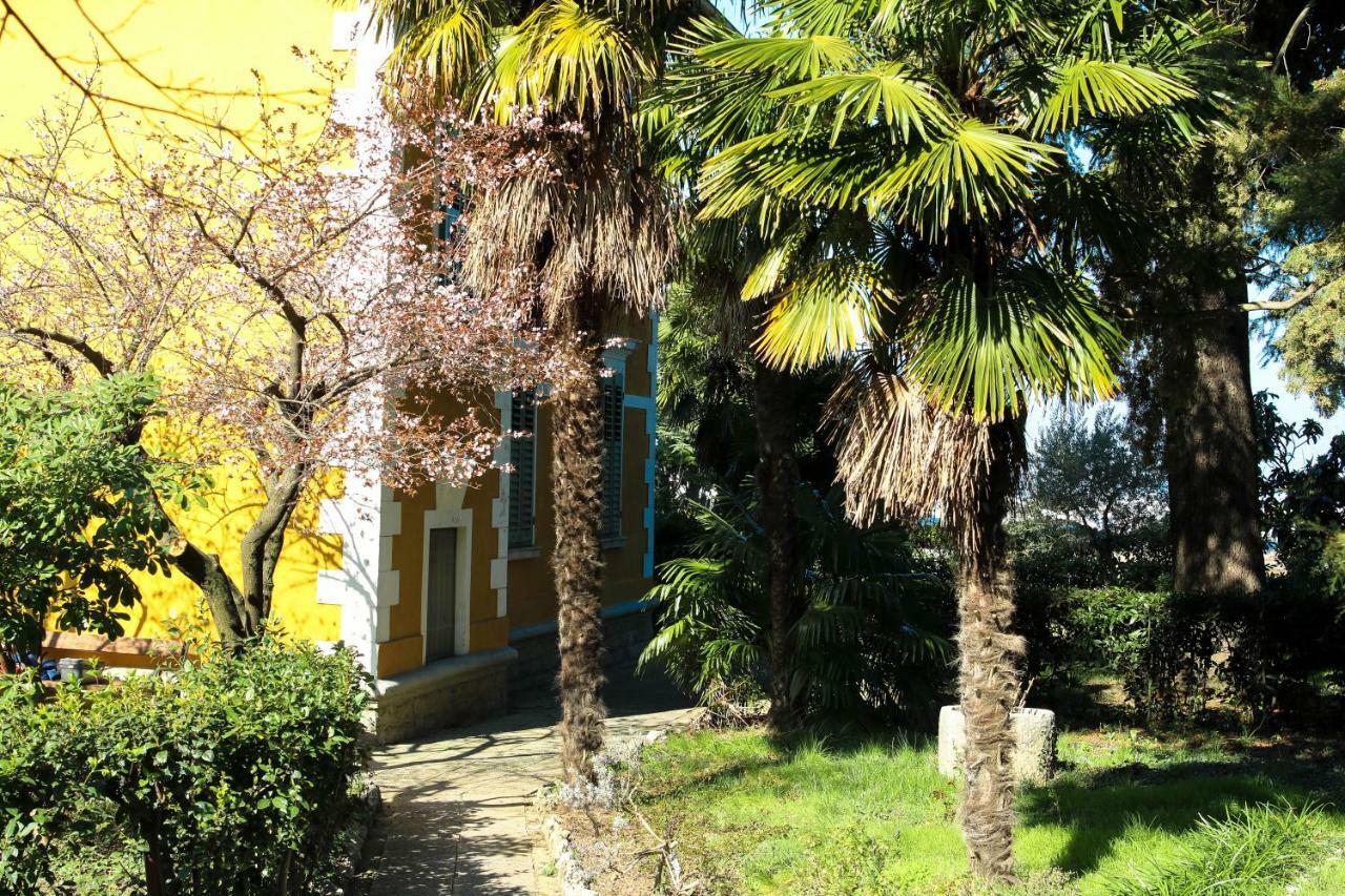 Apartman Cedra Изола Екстериор снимка